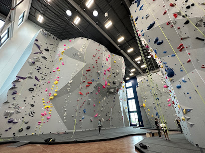 Mesa Rim Climbing Center, Austin